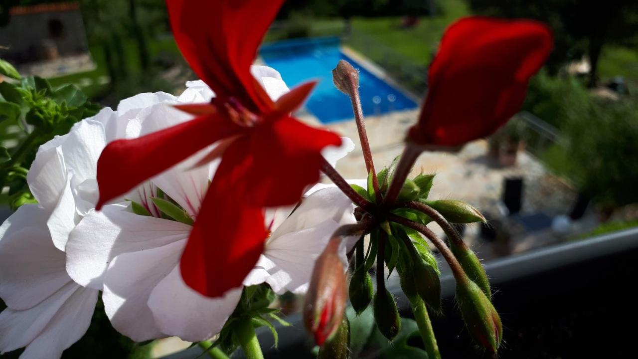Pension Am Weinberg Bed & Breakfast Mainstockheim ภายนอก รูปภาพ
