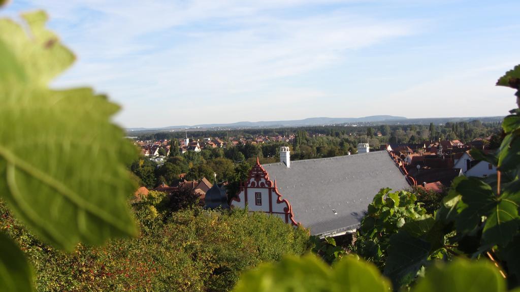 Pension Am Weinberg Bed & Breakfast Mainstockheim ภายนอก รูปภาพ
