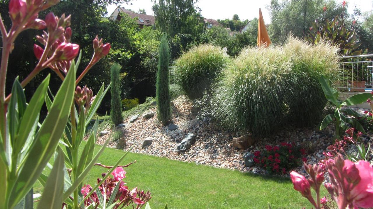 Pension Am Weinberg Bed & Breakfast Mainstockheim ภายนอก รูปภาพ